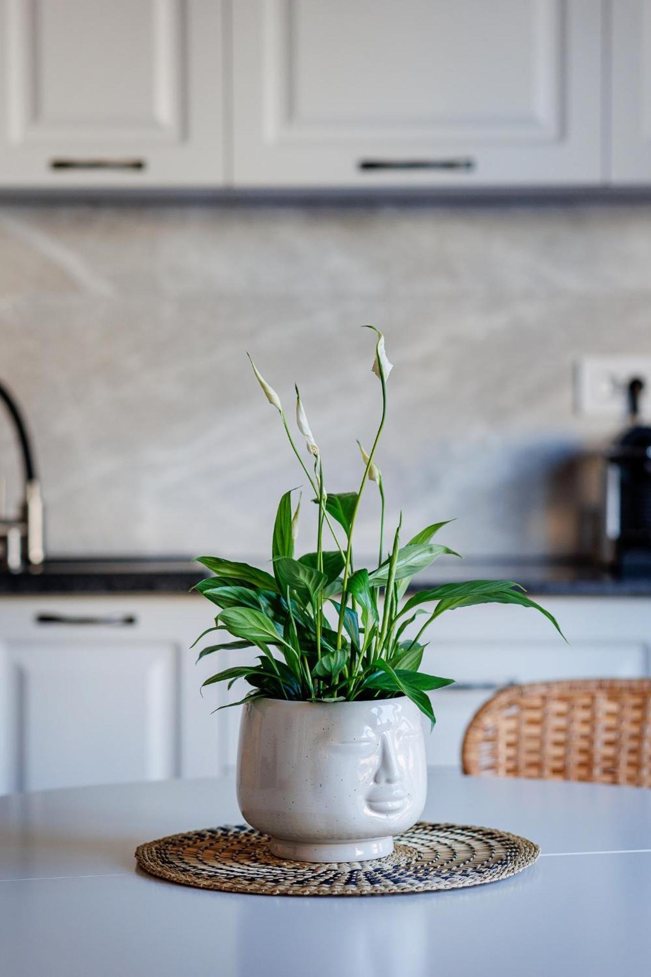 The Corner Luxe Apartment 부쿠레슈티 외부 사진
